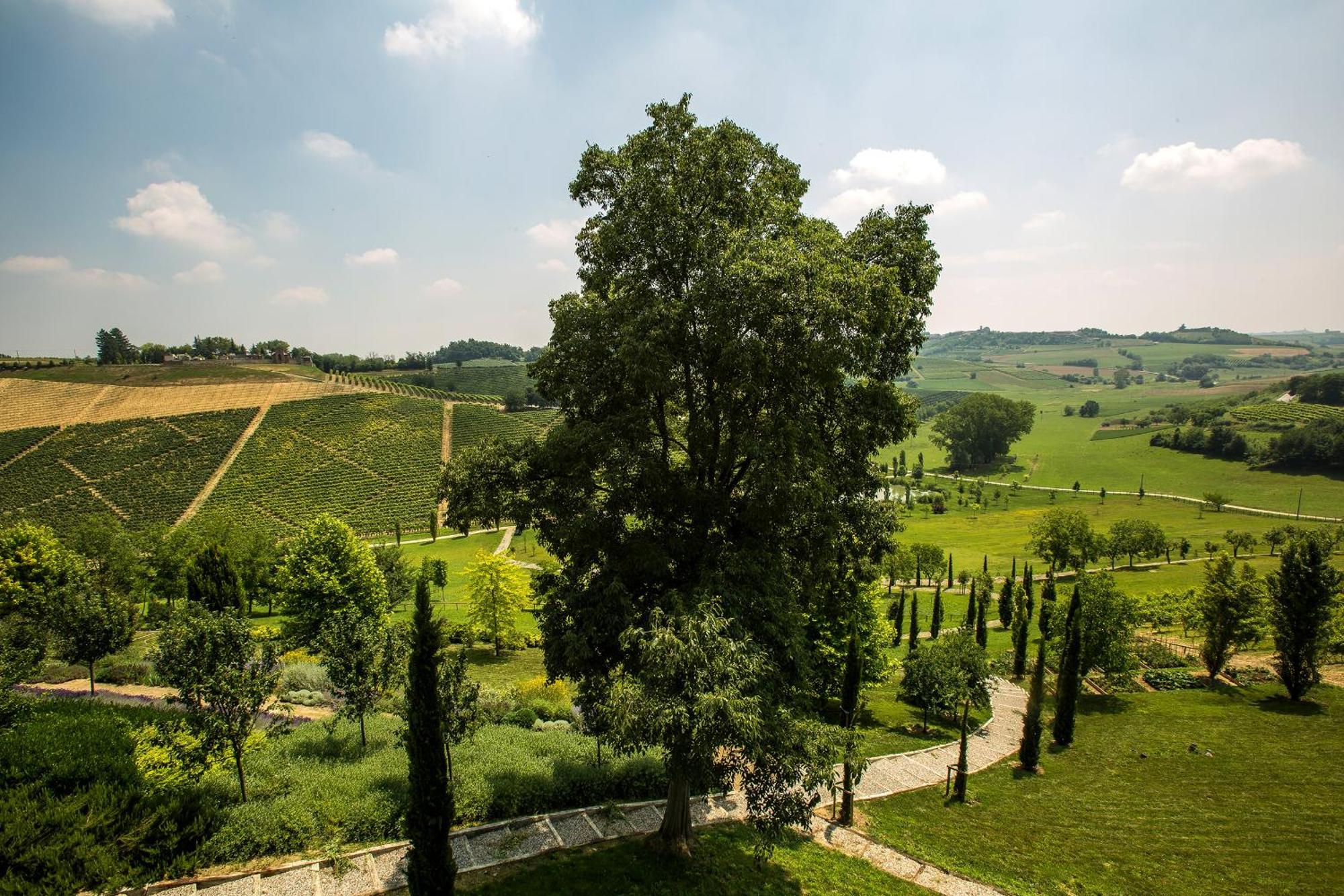 Relais di Tenuta Santa Caterina B&B Grazzano Badoglio Ruang foto