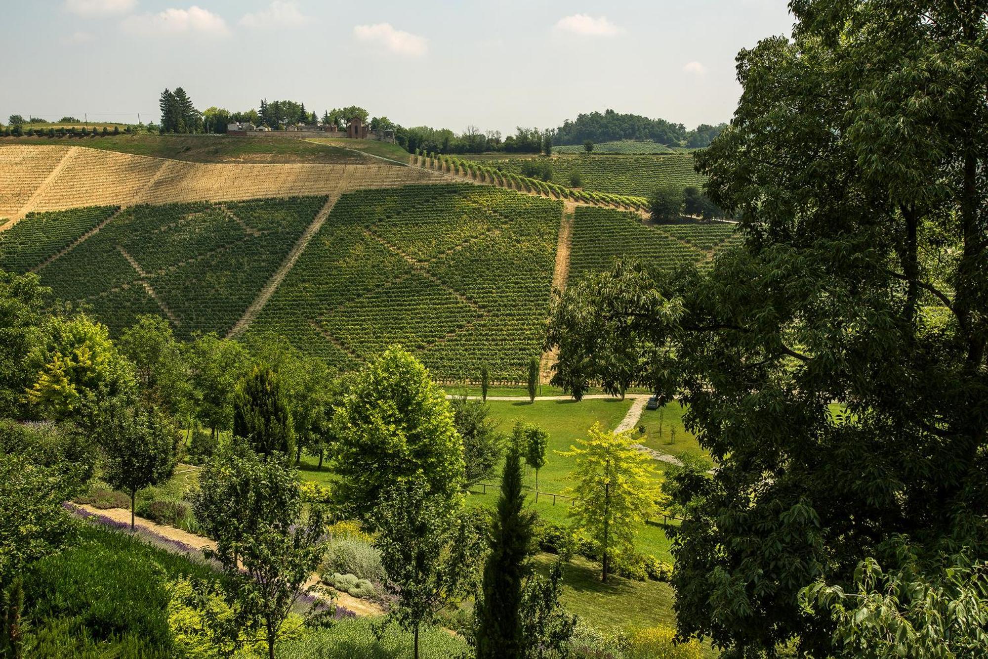 Relais di Tenuta Santa Caterina B&B Grazzano Badoglio Ruang foto